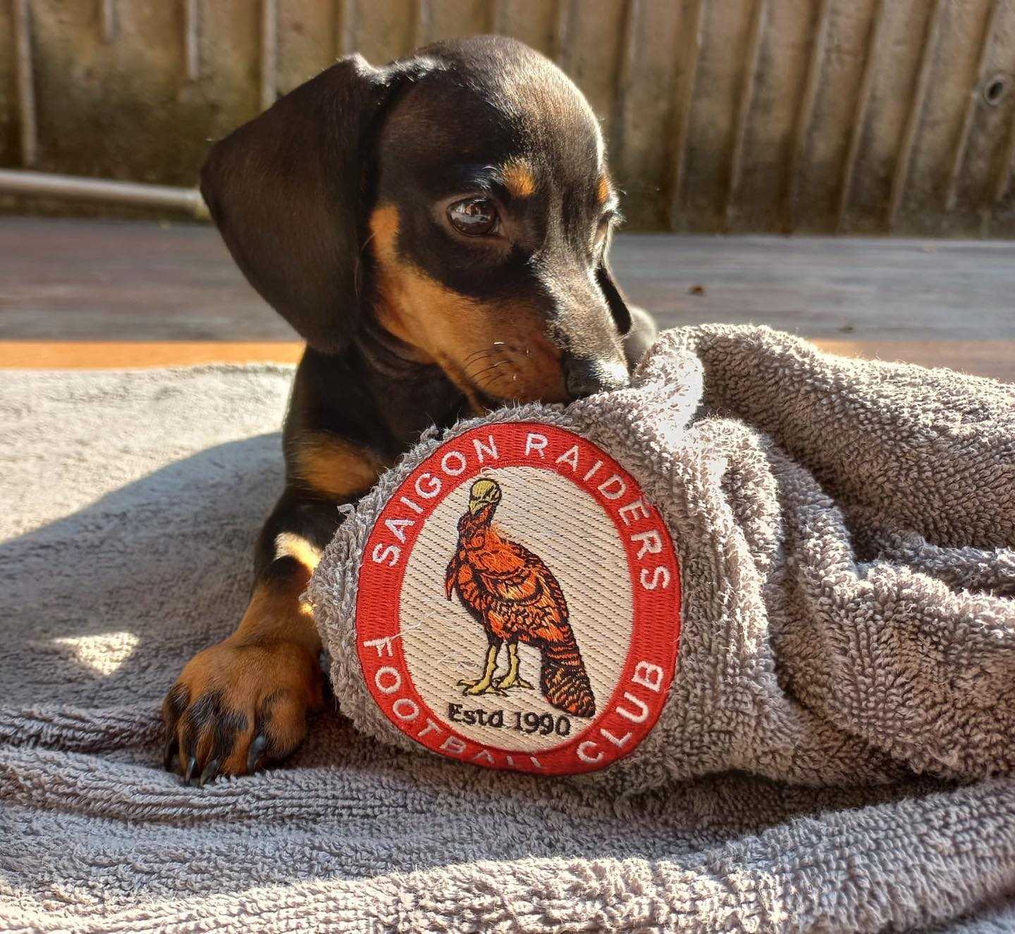 Become a Saigon Raider